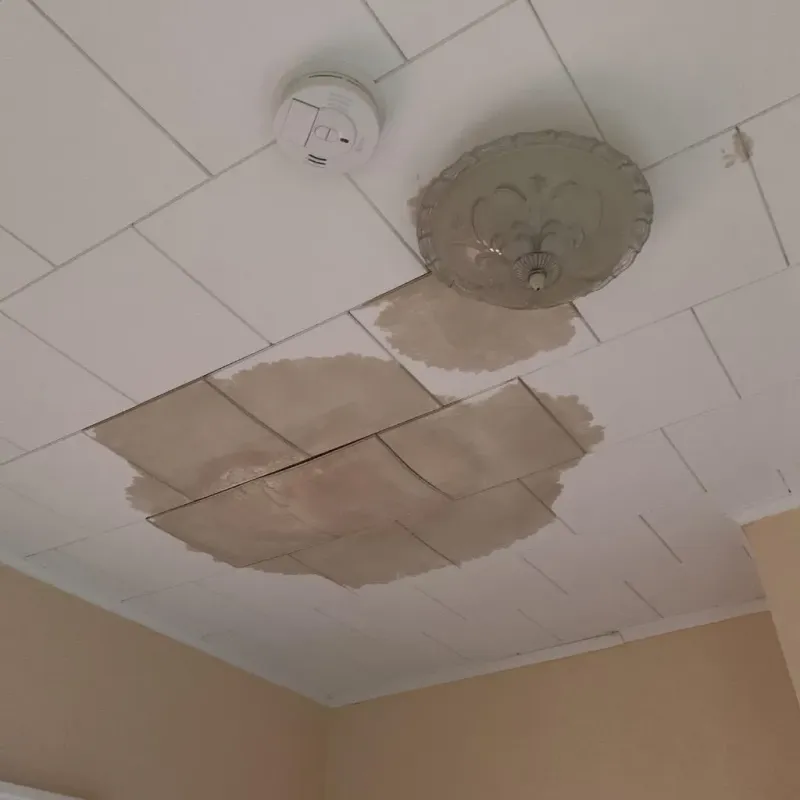 Ceiling Water Damage Repair in Carrollton, KY