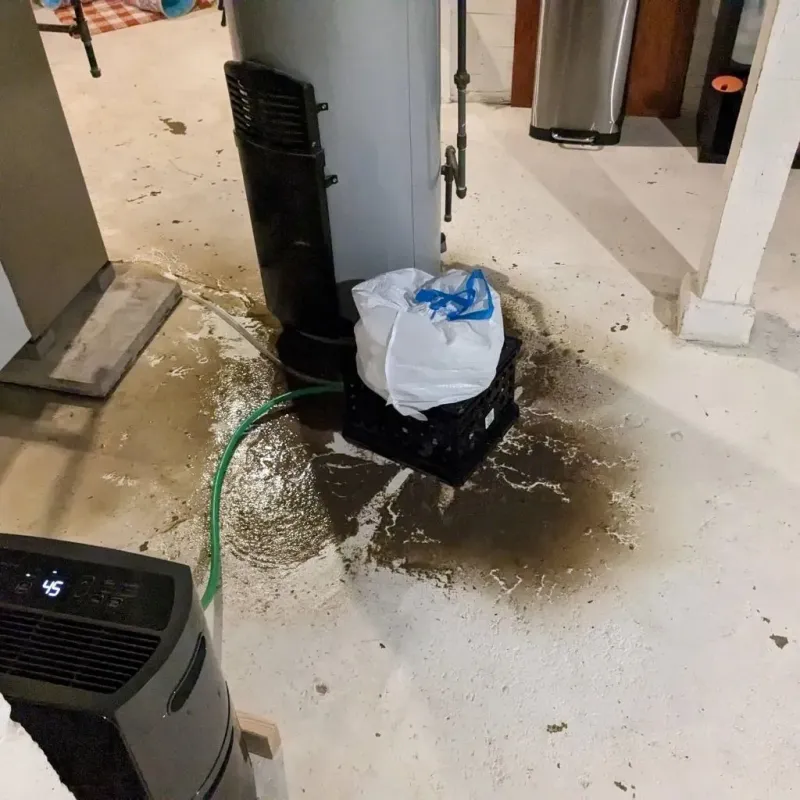 Sewage Backup Cleanup Service in Carrollton, KY